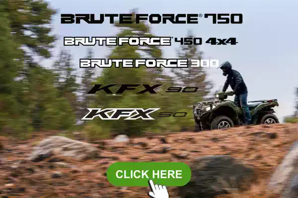 Brute force